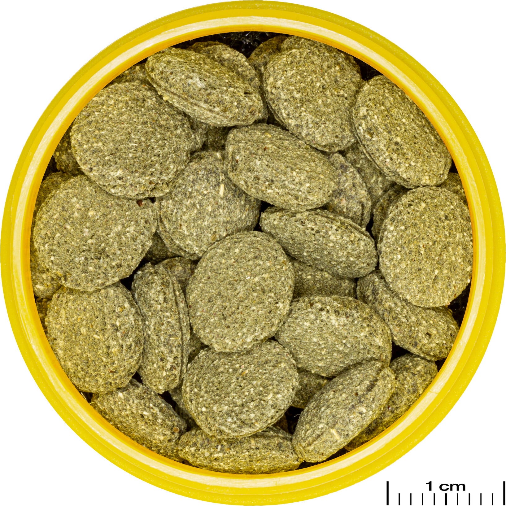 JBL NOVO PLECO 250 ML - Imagen 2