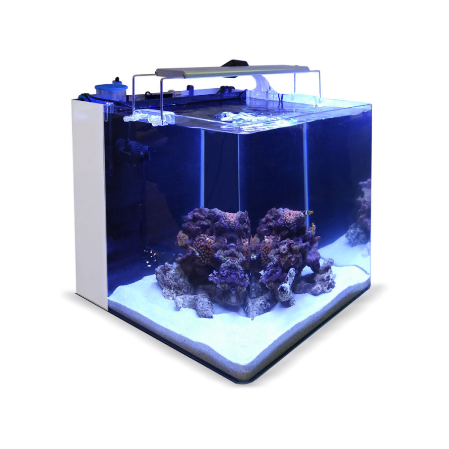 SET MARINE ALL IN ONE 80 - Imagen 8