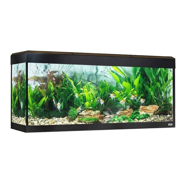 ACUARIO FLUVAL ROMA 240 ROBLE O NEGRO - Imagen 2