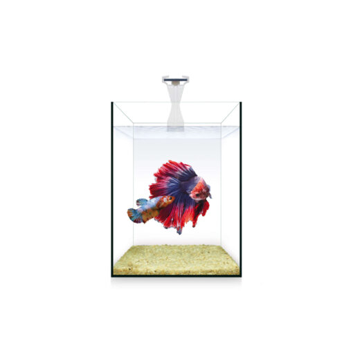 ACUARIO ICA BETTERA 4 L