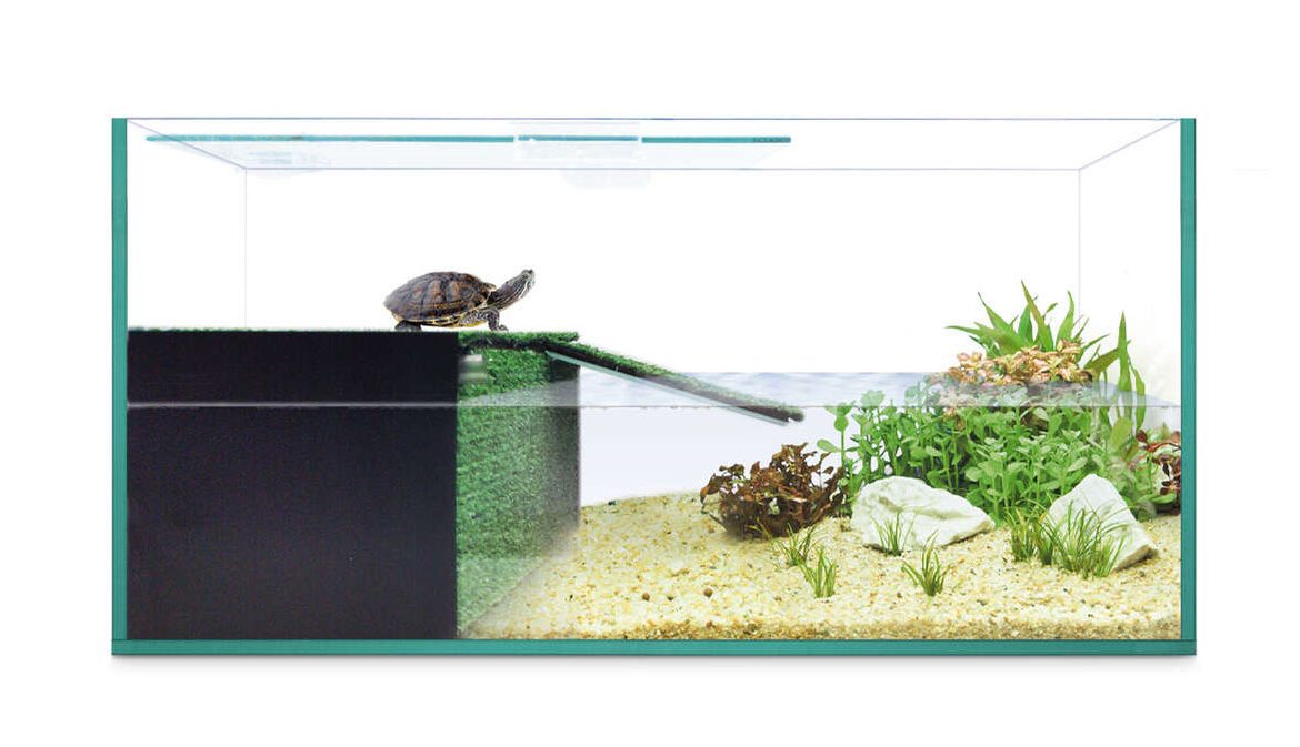 TORTUGUERA HABITAT REPTI-SELVA 40 cm