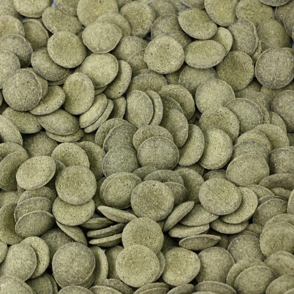 Ocean Nutrition Algae Wafers - Alimento para Herbívoros de Fondo - Imagen 3