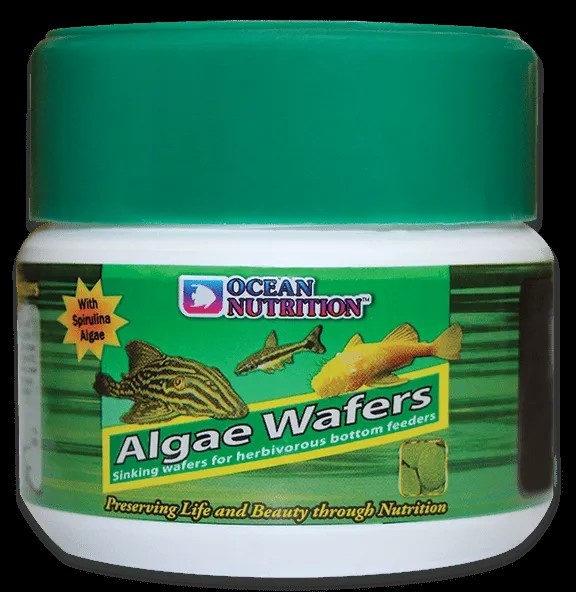 Ocean Nutrition Algae Wafers - Alimento para Herbívoros de Fondo