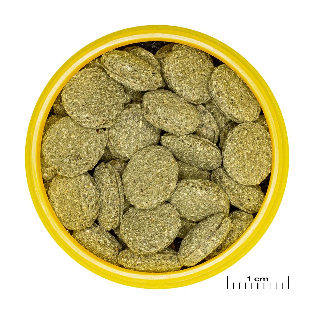 JBL Pronovo Pleco Wafer M 100ml - Alimento para loricáridos que se alimentan de plantas y algas - Imagen 2