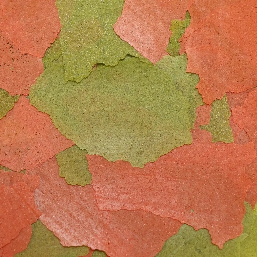 Ocean Nutrition Discus Flakes - Imagen 3