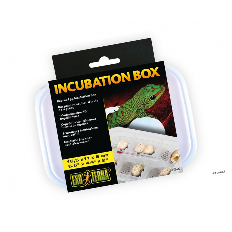 Exo Terra Caja Incubadora de Huevos