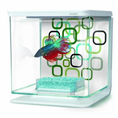 Marina Bettera - Aquario para Bettas de Diferentes Colores
