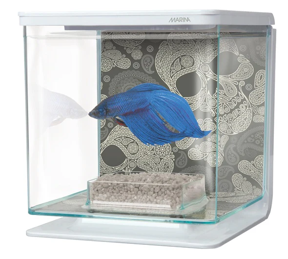 Marina Bettera - Aquario para Bettas de Diferentes Colores - Imagen 6