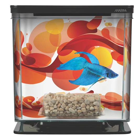 Marina Bettera - Aquario para Bettas de Diferentes Colores - Imagen 5