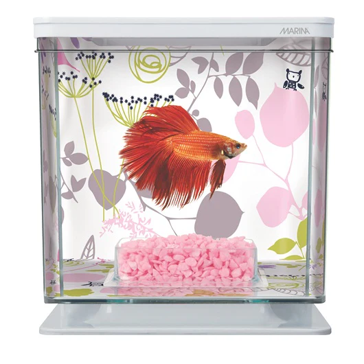 Marina Bettera - Aquario para Bettas de Diferentes Colores - Imagen 3