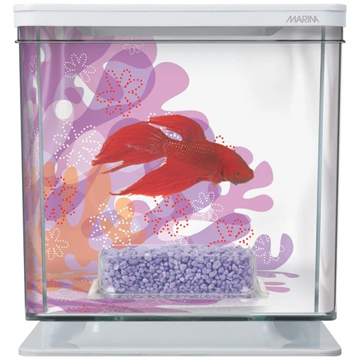 Marina Bettera - Aquario para Bettas de Diferentes Colores - Imagen 2